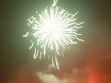 bild (39)